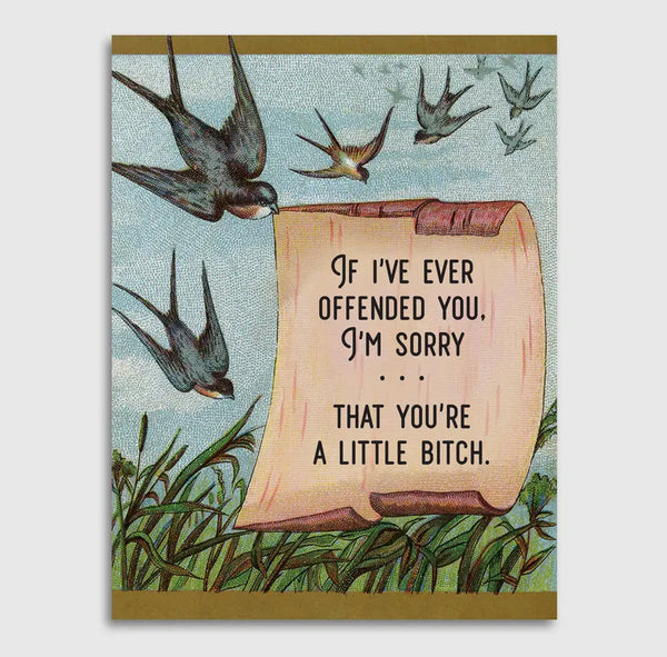 Apology Card , sorry you’re a little bitch