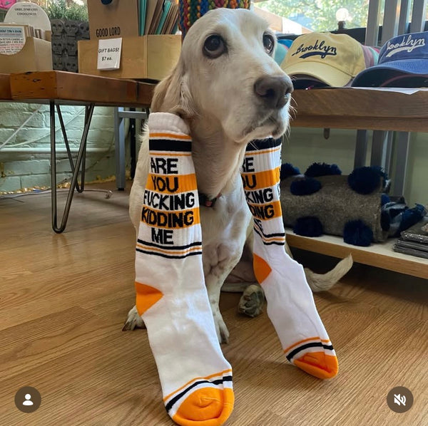 Socks :  Are You Fuc**ng Kidding Me?